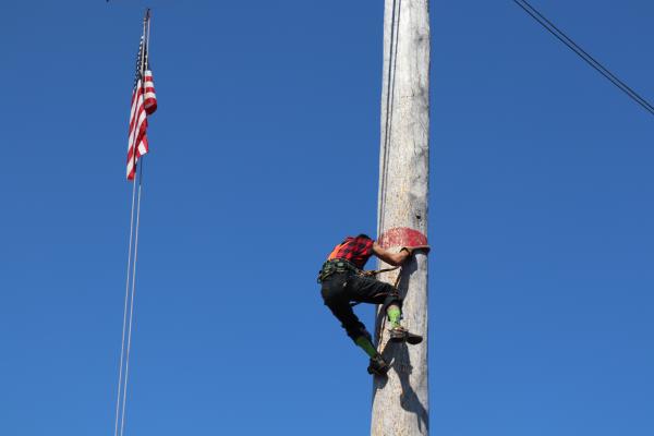 Climbing competition