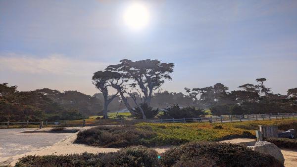 Pebble Beach golf course.