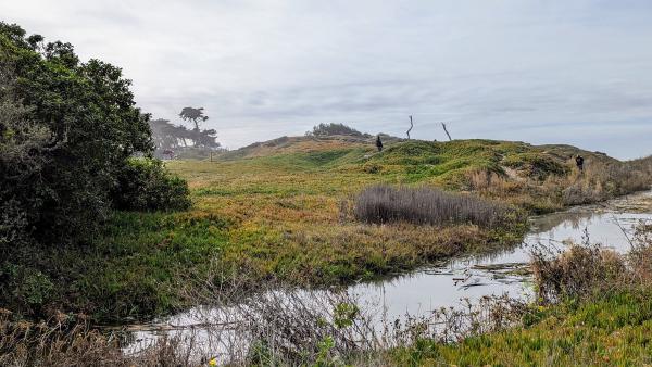 Just inland of Pismo Beach