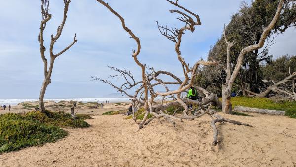 Looking out toward Pismo Beach