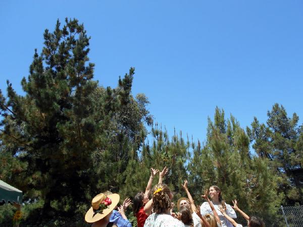 Bouquet Toss